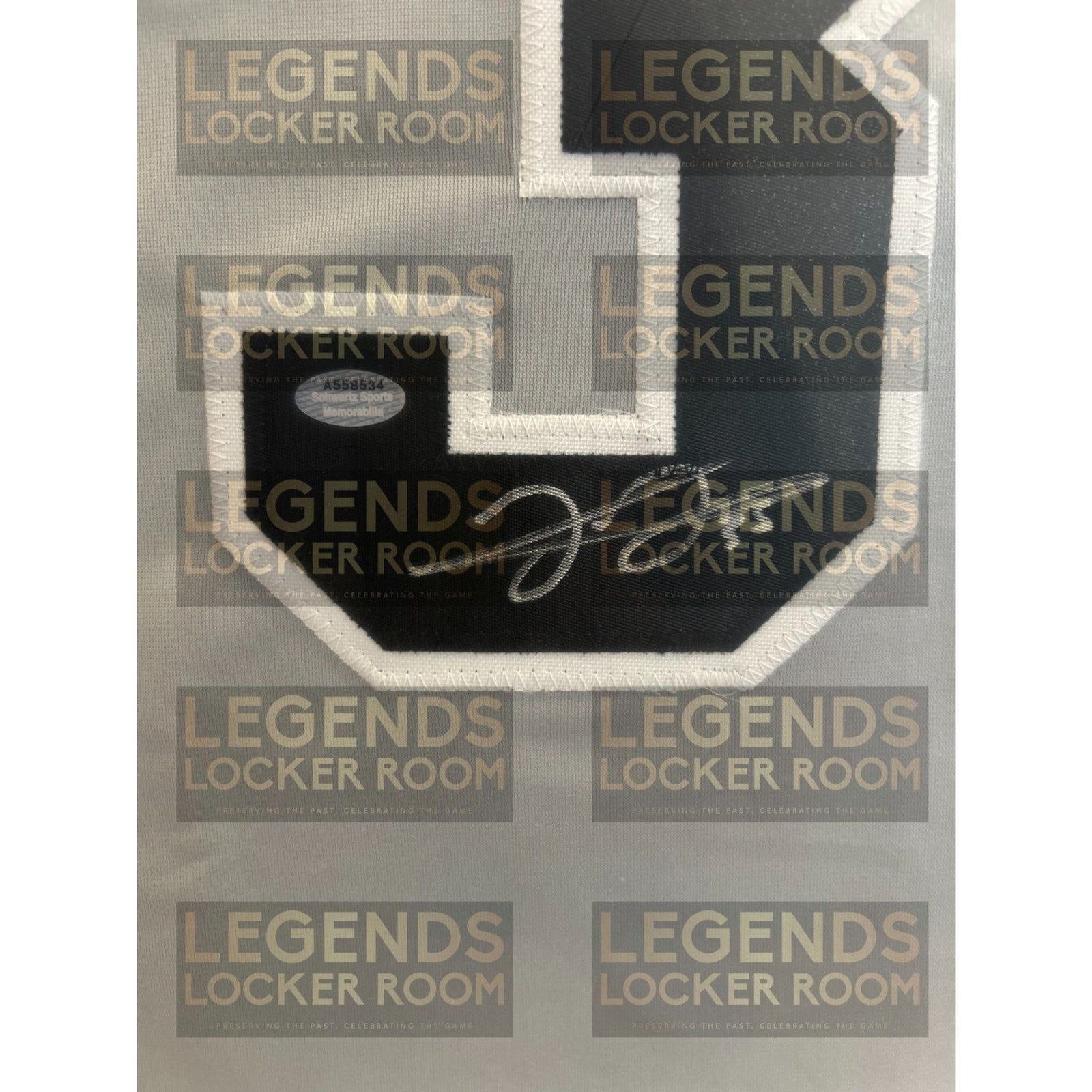 Framed Frank Thomas Autographed Jersey (With Certificate of Authenticity)